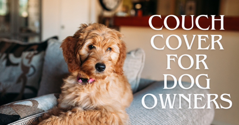 The Best Couch Covers for Dog Owners