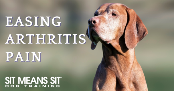 Easing Arthritis Pain in Dogs: Effective Strategies