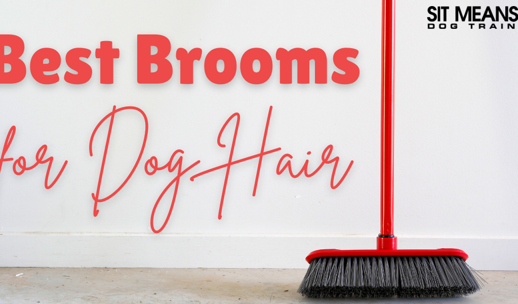 Top Picks: Brooms for Sweeping Up Dog Hair