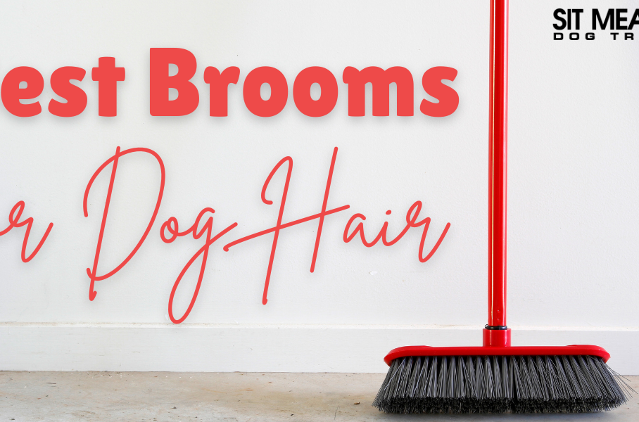 Top Picks: Brooms for Sweeping Up Dog Hair