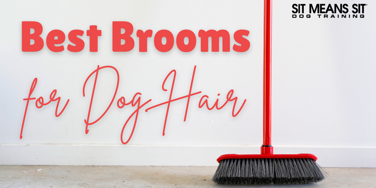 Top Picks: Brooms for Sweeping Up Dog Hair