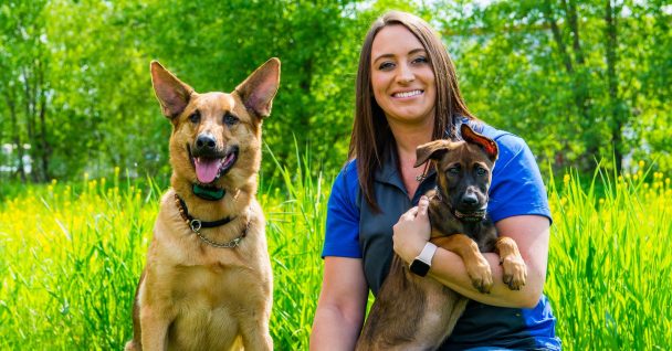 Dog trainer in blue shirt with two dogs