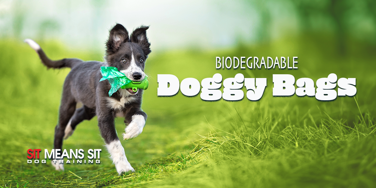 Amazing Biodegradable Doggy Bags