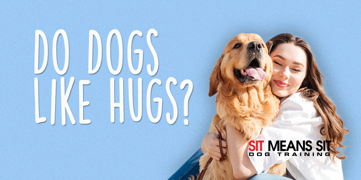 Do Dogs Like It When We Hug Them?
