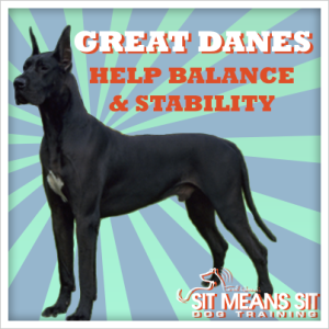 great danes help balance and stability
