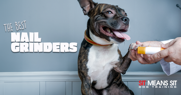 Our Top Dog Picks For Nail Grinders