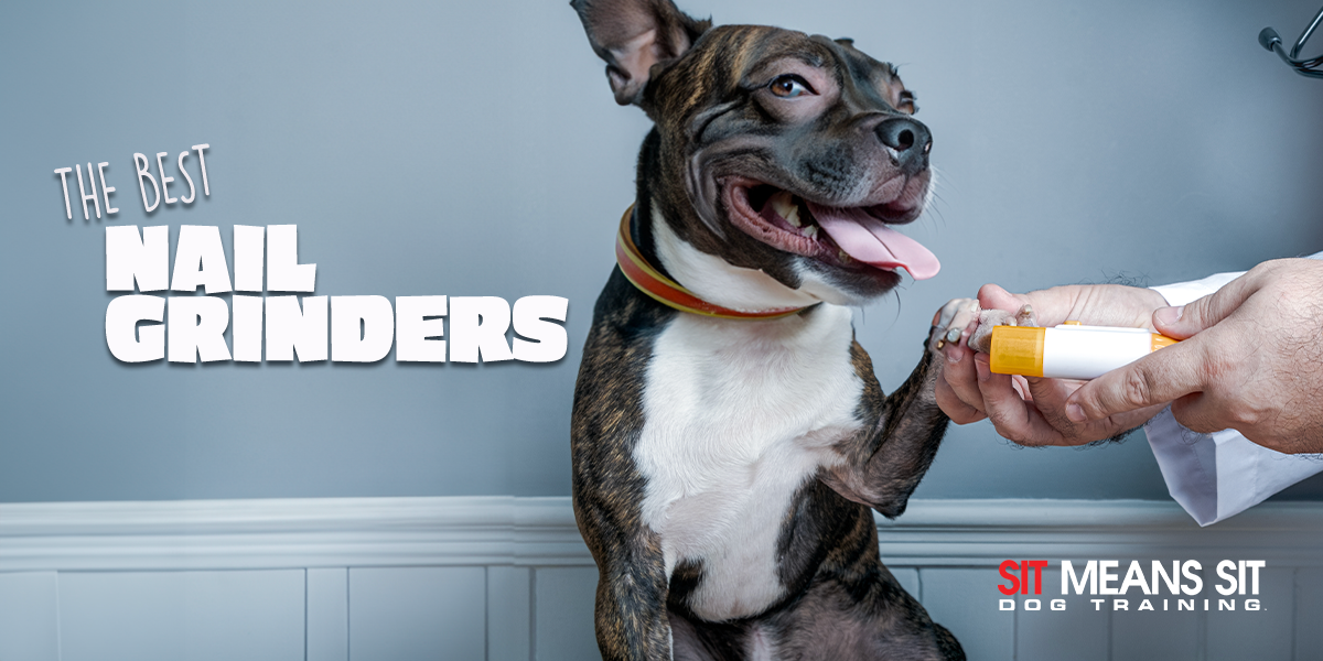 Our Top Dog Picks For Nail Grinders