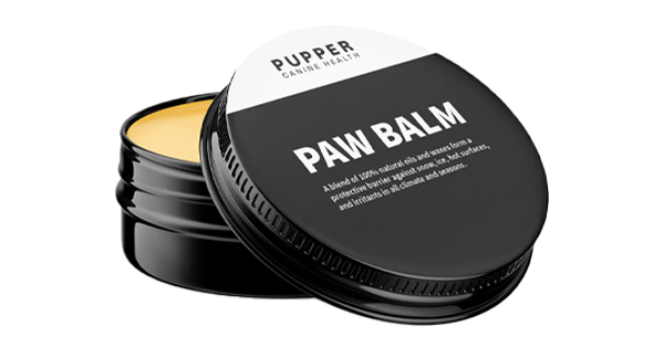The Best Paw Balms to Protect Your Dog this Winter