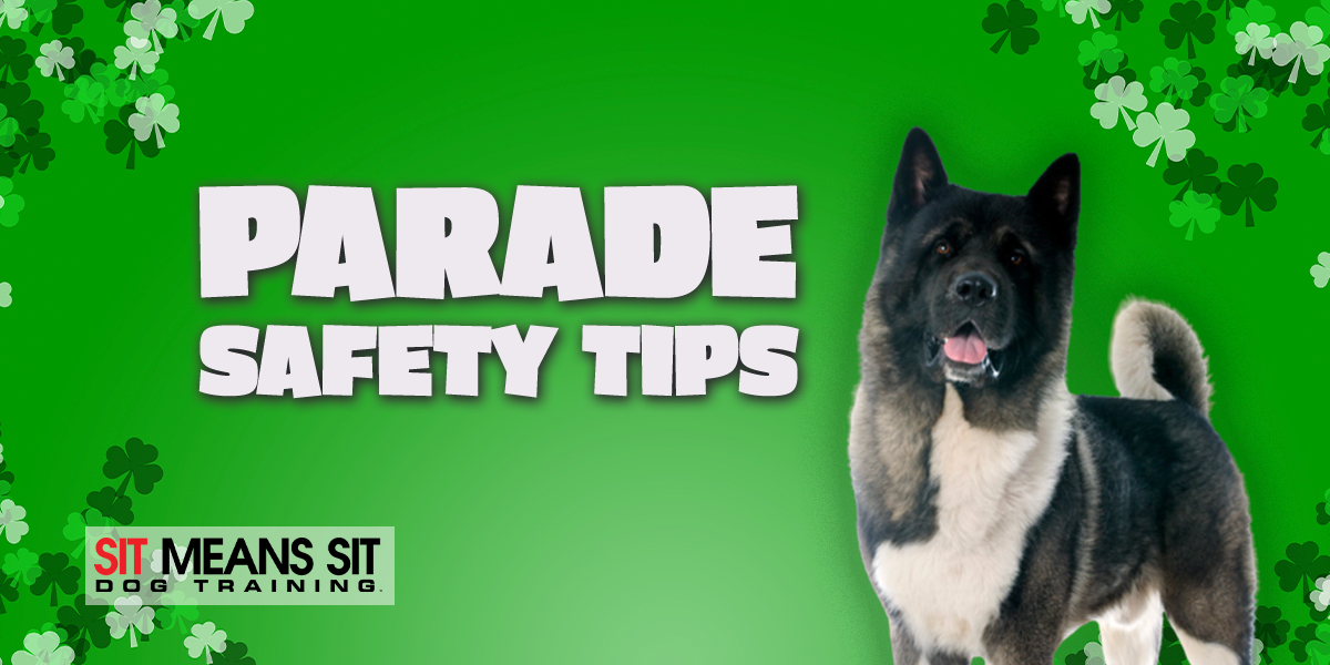 Safety Tips for Taking Your Dog To A St. Patty's Day Parade