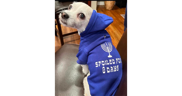 Spoiled For 8 Days Dog Hoodie