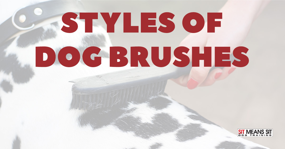 The different styles of dog brushes.