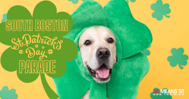 St. Patrick's day Parada poster