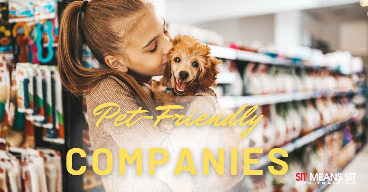 These Companies are Extremely Dog-Friendly