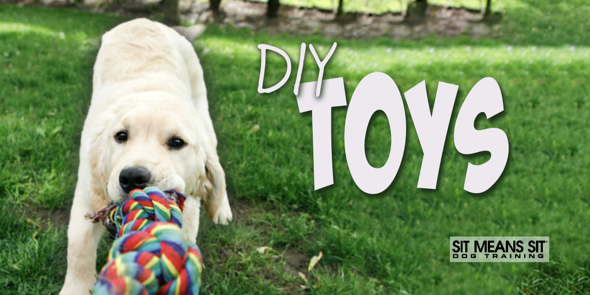 Try Making These DIY Dog Toys