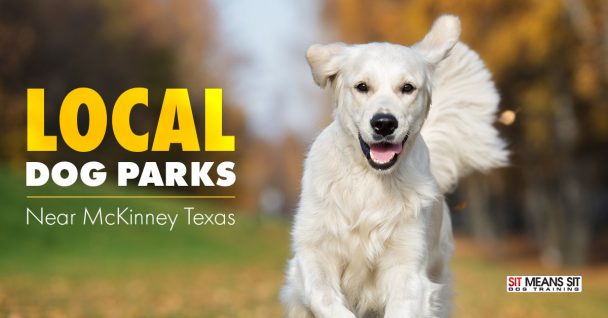 Local Dog Parks Near McKinney Texas.