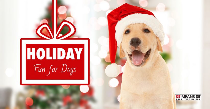 Making the Holidays Fun for Your Dog