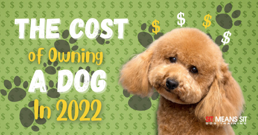 How Much Does it Cost to Own a Dog in 2022