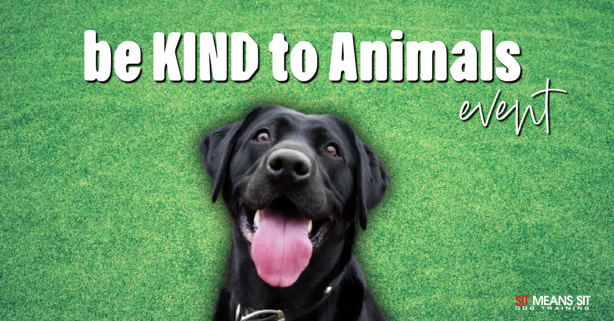 A black dog smiling with the text be kind to animals event poster