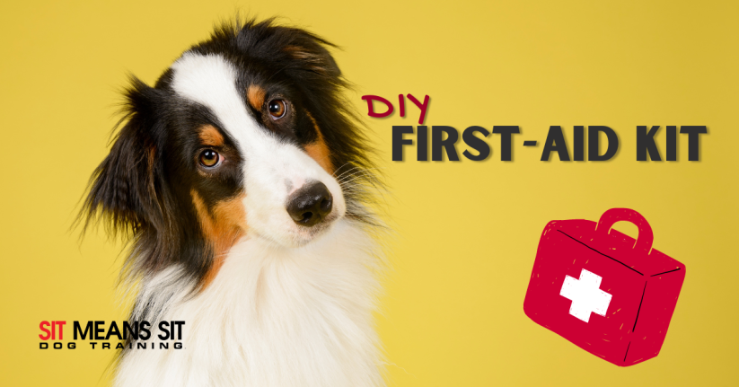 DIY Doggy First Aid Kit
