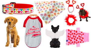 5 Valentine-Themed Outfits for Your Canine