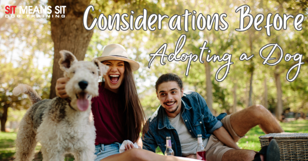 Things to Consider Before Adopting a Dog as a Couple