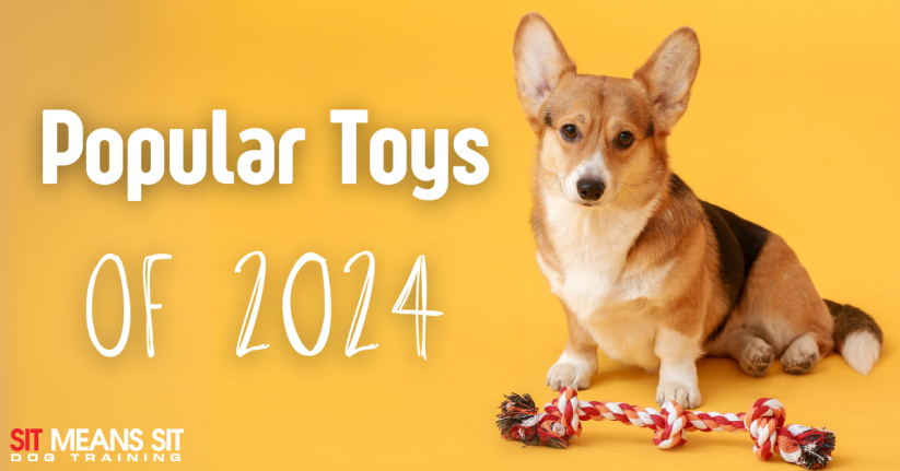 The Most Popular Dog Toys of 2024