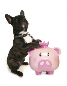 40983888 - happy pink pig piggy bank cutout