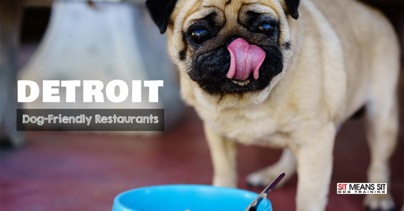 Detroit Dog-Friendly Restaurants