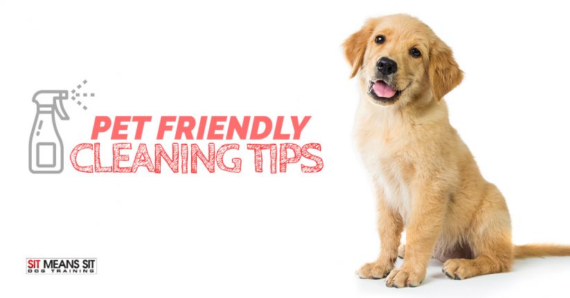 Pet Friendly Cleaning Tips
