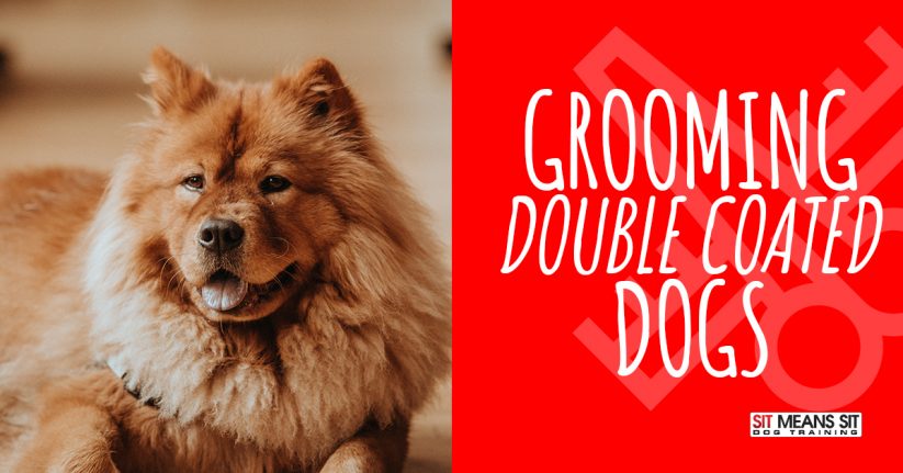 Grooming A Double Coated Dog