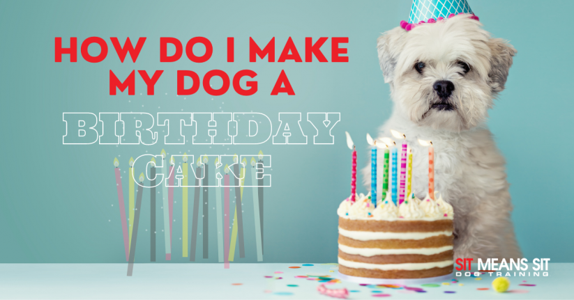 How Do I Make My Dog A Birthday Cake?