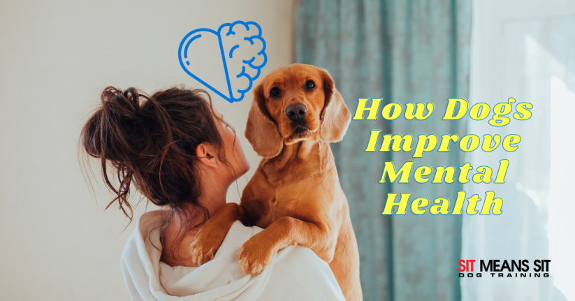 How Dogs Can Help Improve Your Mental Health