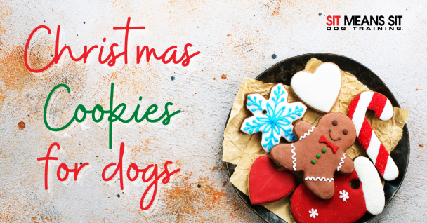 A plate of festive, dog-shaped Christmas cookies with decorative icing.