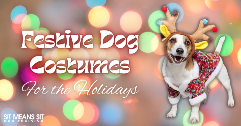 10 Festive Dog Costumes to Celebrate the Holidays