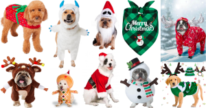 10 Festive Dog Costumes to Celebrate the Holidays!