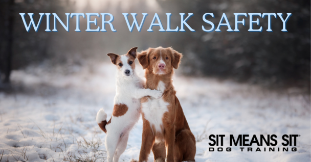 Safety Tips for Winter Weather Walks with Fido