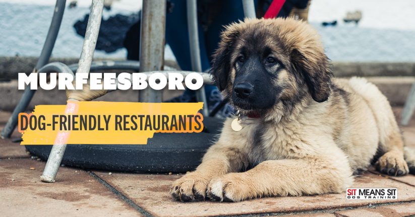 Murfreesboro Dog-Friendly Restaurants