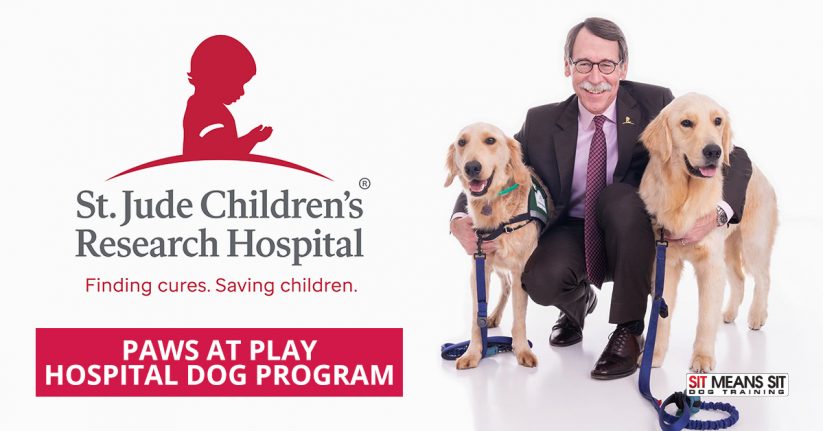 St. Jude Children’s Research Hospital Starts Dog Program