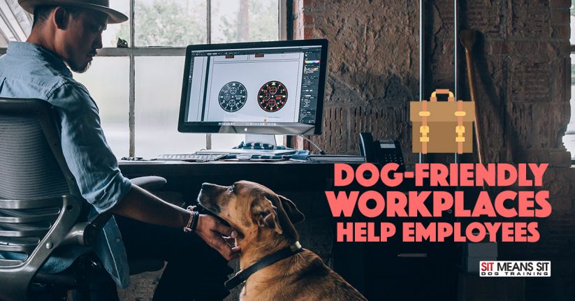 Dog-Friendly Workplaces Help Employees