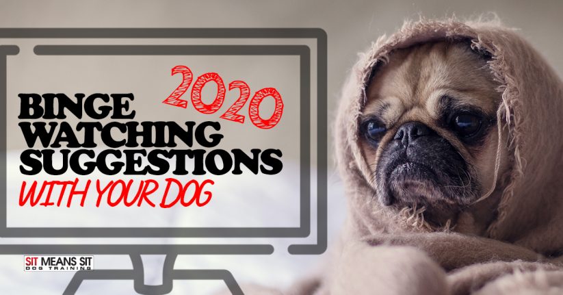 2020 Binge Watching Suggestion for you and your Dog