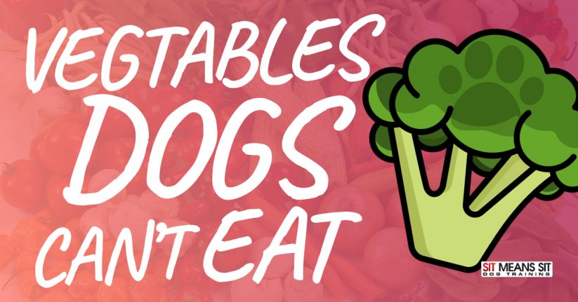 Vegetables Dogs Can't Eat