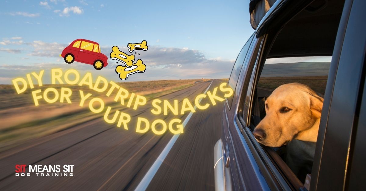 DIY Roadtrip Snacks for Your Dog