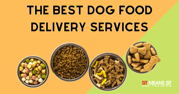 The Best Dog Food Delivery Services