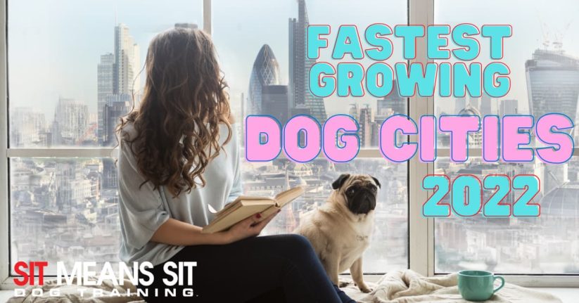 The Fastest Growing Dog-Friendly Cities in 2024