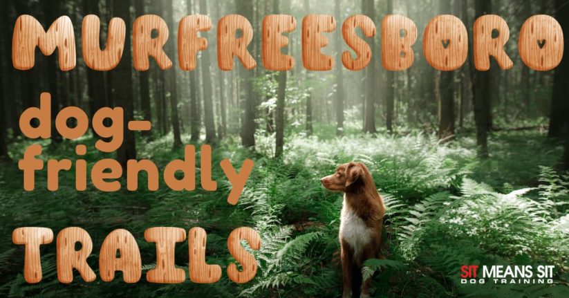 Best Dog-Friendly Trails in Murfreesboro