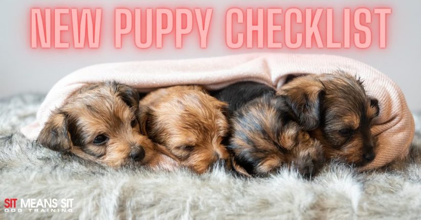 New Puppy Checklist