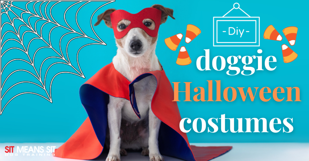 DIY Doggy Halloween Costumes Sit Means Sit Dog Training Middle