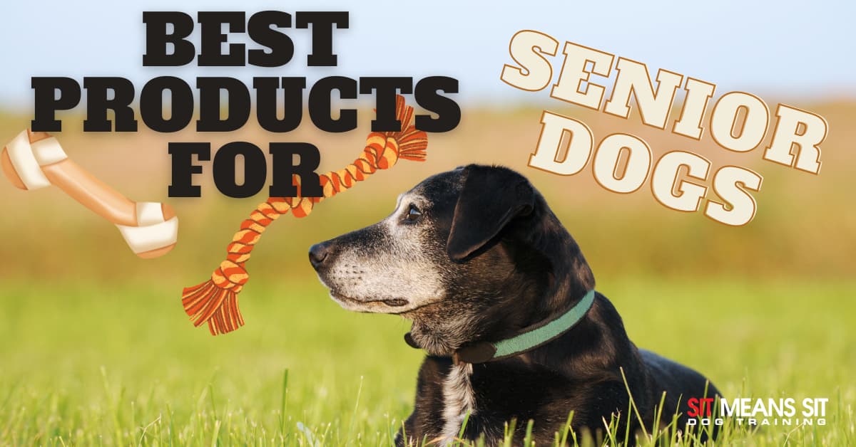 Great Products for Senior Dogs