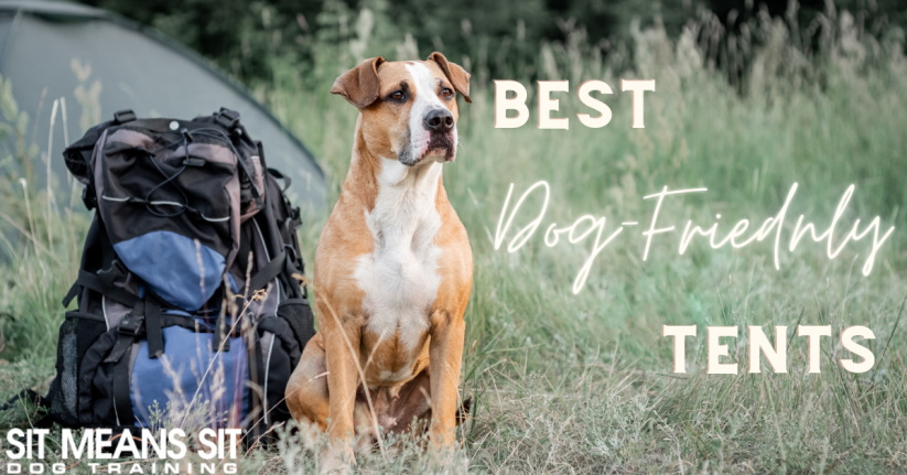 The Best Dog-Friendly Tents