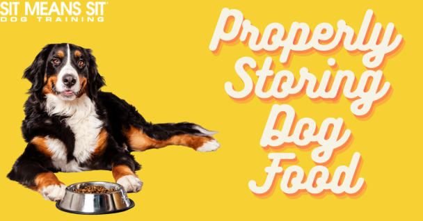 Tips for Properly Storing Your Dogs Food